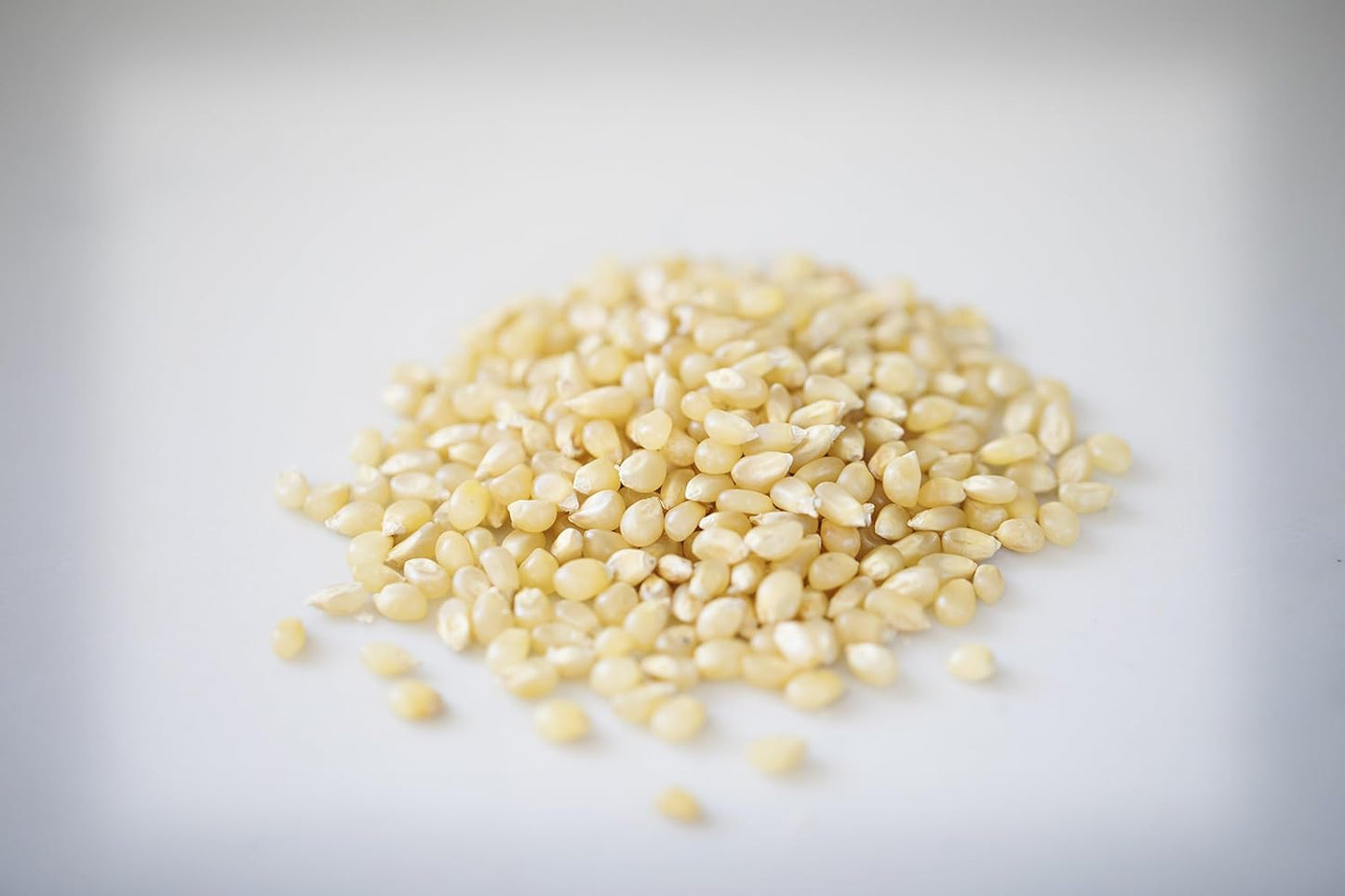 | Baby White Popcorn Kernels | Small and Tender | Old Fashioned, Non-Gmo and Gluten Free (6 Lb Bag)
