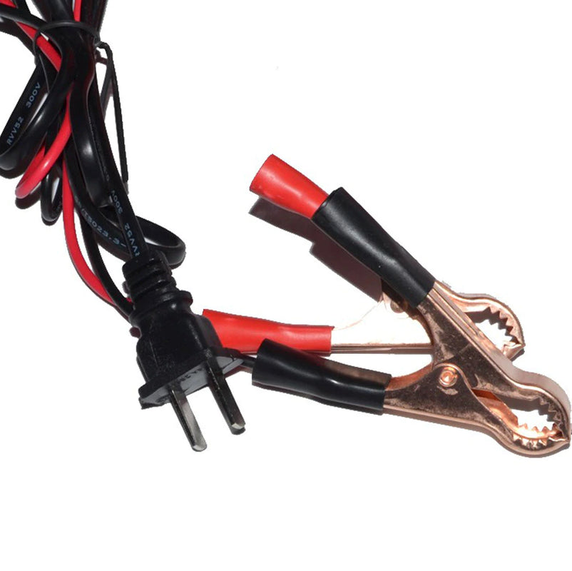 Power Up Your Electric Car with Our Maintenance-Free 12V/24V Battery Charger - 10A, 140W Output for Ultimate Convenience