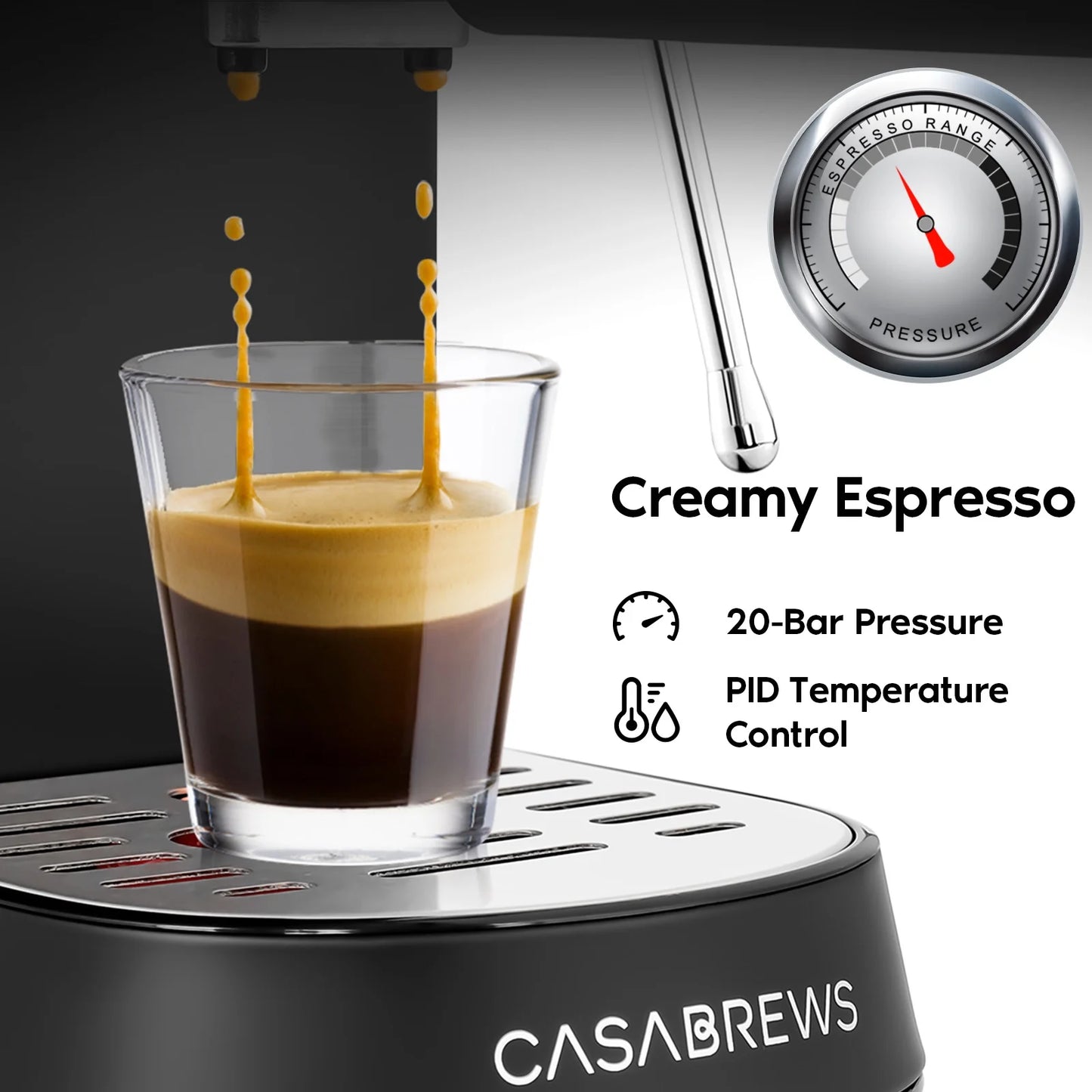 20 Bar Espresso Machine with Milk Frother Steam Wand, Professional Cappuccino Machine, Stainless Steel, Black