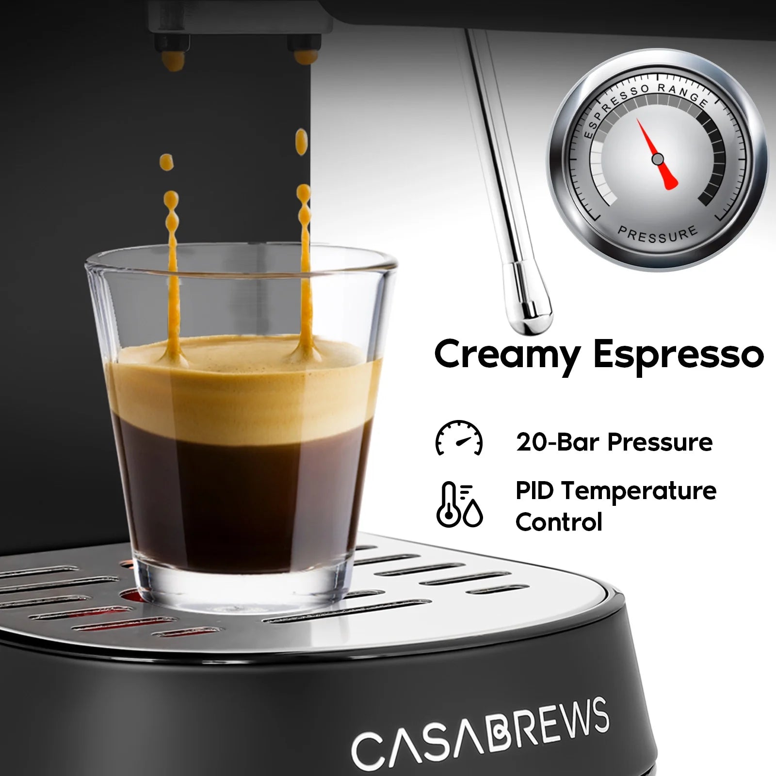 20 Bar Espresso Machine with Milk Frother Steam Wand, Professional Cappuccino Machine, Stainless Steel, Black