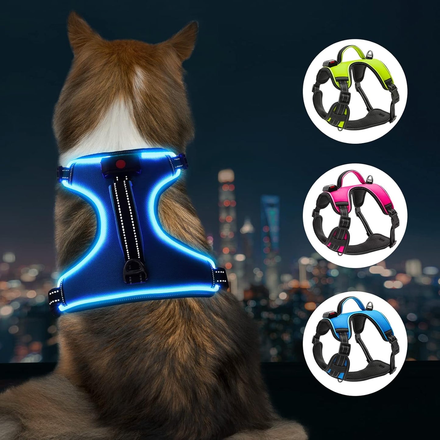 Illuminate Your Dog's Adventures with the LED Dog Harness - Adjustable, Reflective, and Comfortable for Large Dogs in Blue