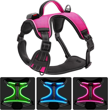 Illuminate Your Dog's Adventures with the LED Dog Harness - Adjustable, Reflective, and Comfortable for Large Dogs in Blue