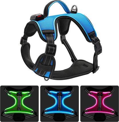 Illuminate Your Dog's Adventures with the LED Dog Harness - Adjustable, Reflective, and Comfortable for Large Dogs in Blue